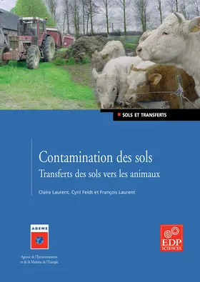 Feidt / Laurent |  Contamination des sols | eBook | Sack Fachmedien