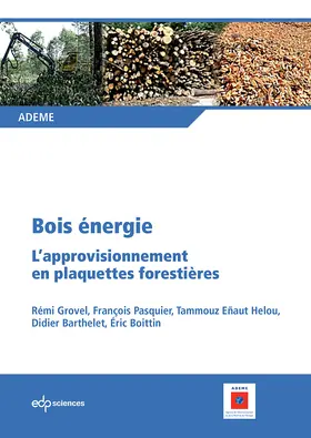 Grovel / Pasquier / Eñaut Helou |  Bois énergie | eBook | Sack Fachmedien