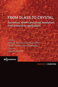 Neuville / Cornier / Caurant |  From Glass to Crystal | Buch |  Sack Fachmedien