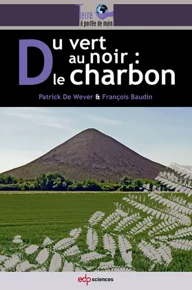 De Wever / Baudin |  Du vert au noir : le charbon | eBook | Sack Fachmedien