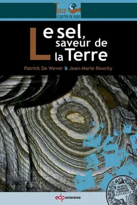 De Wever / Rouchy |  Le sel, saveur de la Terre | eBook | Sack Fachmedien