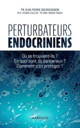 Bourguignon / Zoeller / Parent |  Perturbateurs endocriniens | eBook | Sack Fachmedien