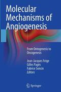 Feige / Soncin / Pagès |  Molecular Mechanisms of Angiogenesis | Buch |  Sack Fachmedien