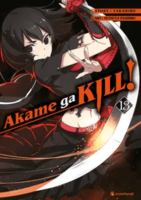 Takahiro / Tashiro |  Akame ga KILL! 13 | Buch |  Sack Fachmedien