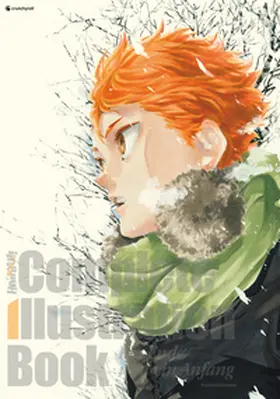 Furudate |  Haikyu!! Complete Illustration Book - Ein Ende und ein Anfang | Buch |  Sack Fachmedien