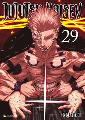 Akutami |  Jujutsu Kaisen - Band 29 | Buch |  Sack Fachmedien