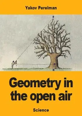 Perelman | Geometry in the open air | E-Book | www.sack.de