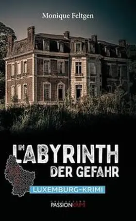 Feltgen |  Im Labyrinth der Gefahr | eBook | Sack Fachmedien