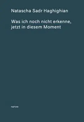 Sadr Haghighian / Holert |  Was ich noch nicht erkenne, jetzt in diesem Moment | Buch |  Sack Fachmedien