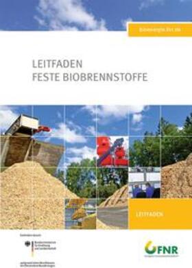 Eltrop / Raab / Institut für Energiewirtschaft und Rationelle Energieanwendung (IER), Stuttgart |  Leitfaden Feste Biobrennstoffe | Buch |  Sack Fachmedien