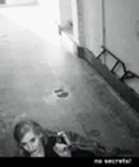 Scheutle / Adler |  no secrets! | Buch |  Sack Fachmedien