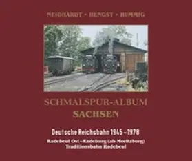 Neidhardt / Hengst / Hummig |  Schmalspur-Album Sachsen DR | Buch |  Sack Fachmedien