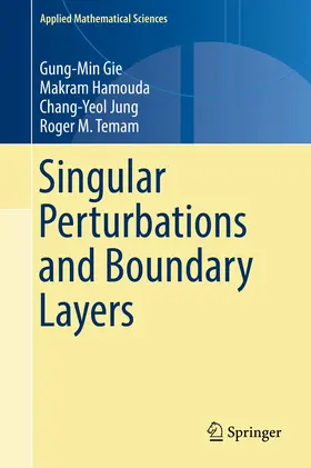 Gie / Temam / Hamouda |  Singular Perturbations and Boundary Layers | Buch |  Sack Fachmedien
