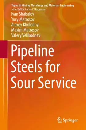 Shabalov / Matrosov / Kholodnyi | Pipeline Steels for Sour Service | E-Book | sack.de