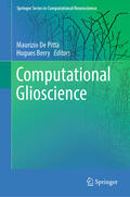 De Pittà / Berry |  Computational Glioscience | eBook | Sack Fachmedien