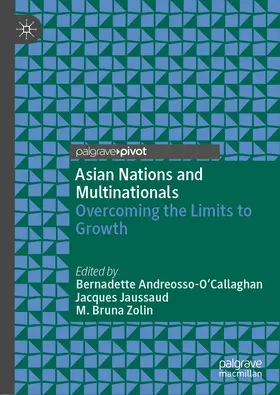 Andreosso-O’Callaghan / Jaussaud / Zolin | Asian Nations and Multinationals | E-Book | sack.de