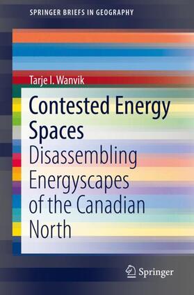 Wanvik | Contested Energy Spaces | Buch | 978-3-030-02395-9 | sack.de