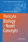Birbrair |  Pericyte Biology - Novel Concepts | eBook | Sack Fachmedien