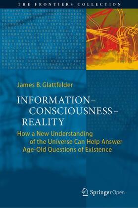 Glattfelder | Information¿Consciousness¿Reality | Buch | 978-3-030-03631-7 | sack.de