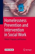 Larkin / Streeter / Aykanian |  Homelessness Prevention and Intervention in Social Work | Buch |  Sack Fachmedien