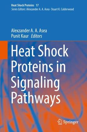 Kaur / Asea | Heat Shock Proteins in Signaling Pathways | Buch | 978-3-030-03951-6 | sack.de