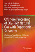 de Medeiros / de Oliveira Arinelli / Teixeira |  Offshore Processing of CO2-Rich Natural Gas with Supersonic Separator | eBook | Sack Fachmedien