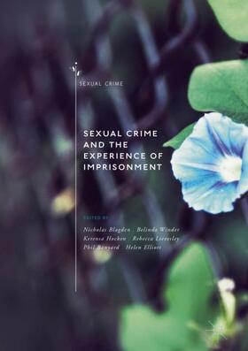 Blagden / Winder / Elliott | Sexual Crime and the Experience of Imprisonment | Buch | 978-3-030-04929-4 | sack.de