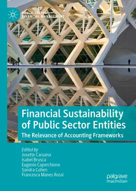 Caruana / Brusca / Manes Rossi |  Financial Sustainability of Public Sector Entities | Buch |  Sack Fachmedien