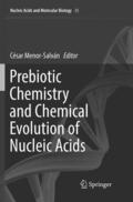Menor-Salván |  Prebiotic Chemistry and Chemical Evolution of Nucleic Acids | Buch |  Sack Fachmedien