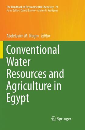 Negm | Conventional Water Resources and Agriculture in Egypt | Buch | 978-3-030-06967-4 | sack.de