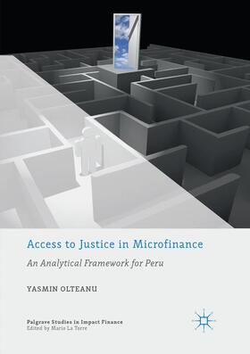 Olteanu |  Access to Justice in Microfinance | Buch |  Sack Fachmedien
