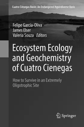 García-Oliva / Elser / Souza |  Ecosystem Ecology and Geochemistry of Cuatro Cienegas | Buch |  Sack Fachmedien