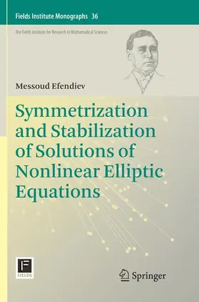 Efendiev |  Symmetrization and Stabilization of Solutions of Nonlinear Elliptic Equations | Buch |  Sack Fachmedien