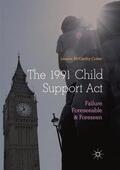McCarthy-Cotter |  The 1991 Child Support Act | Buch |  Sack Fachmedien