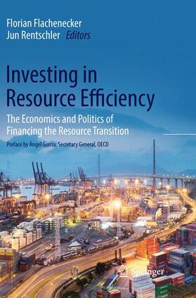 Rentschler / Flachenecker | Investing in Resource Efficiency | Buch | sack.de