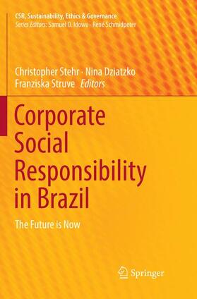 Stehr / Struve / Dziatzko | Corporate Social Responsibility in Brazil | Buch | sack.de