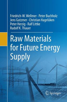 Wellmer / Buchholz / Gutzmer | Raw Materials for Future Energy Supply | Buch | 978-3-030-08203-1 | sack.de