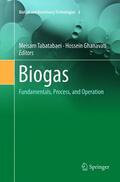 Ghanavati / Tabatabaei |  Biogas | Buch |  Sack Fachmedien