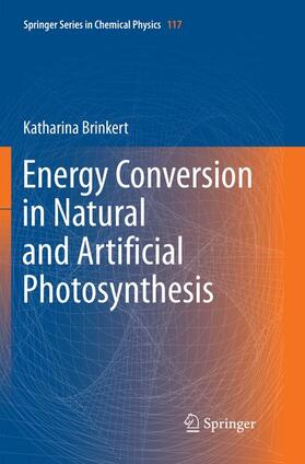 Brinkert |  Energy Conversion in Natural and Artificial Photosynthesis | Buch |  Sack Fachmedien