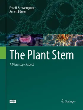 Schweingruber / Börner |  The Plant Stem | Buch |  Sack Fachmedien