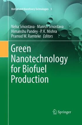 Srivastava / Ramteke / Pandey | Green Nanotechnology for Biofuel Production | Buch | 978-3-030-09136-1 | sack.de