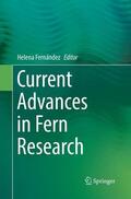 Fernández |  Current Advances in Fern Research | Buch |  Sack Fachmedien