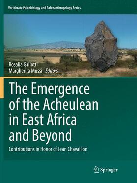 Mussi / Gallotti | The Emergence of the Acheulean in East Africa and Beyond | Buch | 978-3-030-09371-6 | sack.de