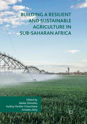 Shimeles / Boly / Verdier-Chouchane |  Building a Resilient and Sustainable Agriculture in Sub-Saharan Africa | Buch |  Sack Fachmedien