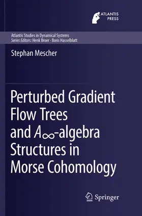 Mescher |  Perturbed Gradient Flow Trees and A¿-algebra Structures in Morse Cohomology | Buch |  Sack Fachmedien