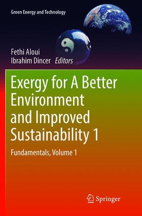 Dincer / Aloui |  Exergy for A Better Environment and Improved Sustainability 1 | Buch |  Sack Fachmedien