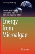 Jacob-Lopes / Queiroz / Queiroz Zepka |  Energy from Microalgae | Buch |  Sack Fachmedien