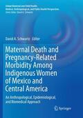 Schwartz |  Maternal Death and Pregnancy-Related Morbidity Among Indigenous Women of Mexico and Central America | Buch |  Sack Fachmedien