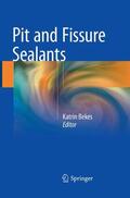 Bekes |  Pit and Fissure Sealants | Buch |  Sack Fachmedien