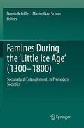 Schuh / Collet |  Famines During the ¿Little Ice Age¿ (1300-1800) | Buch |  Sack Fachmedien